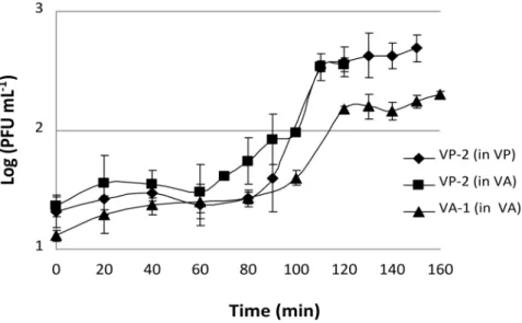 Figure 3. VP-2 and VA-1 phage one-step growth experiment in the presence of V. parahaemolyticus and V