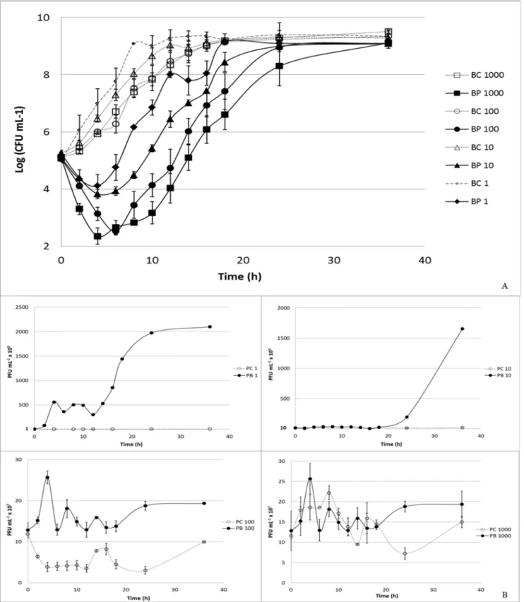 Figure 4. Inactivation of V. parahaemolyticus by the VP-2 phage at different MOI values (1, 10, 100 and 1000) during the 36 h experiment