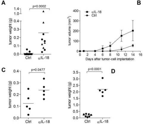 Figure 1. IL-18 inhibits RM1 tumor growth. IL-18 expression by RM1 murine prostate carcinoma cells inhibits the in vivo growth of these cells implanted subcutaneously and orthotopically into syngeneic mice, but not when IL-18 is inactivated by the IL-18-ne