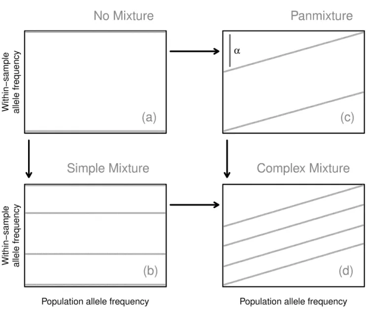 Fig 2 lays out how the consequent banding patterns can arise. In the simplest case, a sample is composed of a single, unmixed strain, and all SNPs exhibit a WSAF of zero or one (see Fig 2 (a)), based on whether they agree with the reference