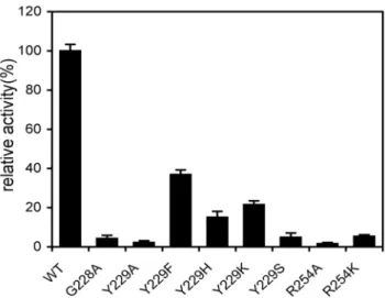 Table 3. Kinetic Parameters of rCgiA_Ce and its mutants.