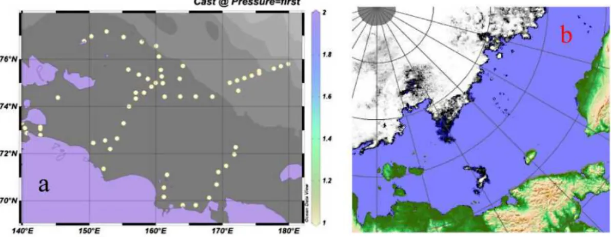 Fig. 2. Map with station positions in the ESS (a) and sea ice coverage on 7 September 2008 (b), from University Bremen.