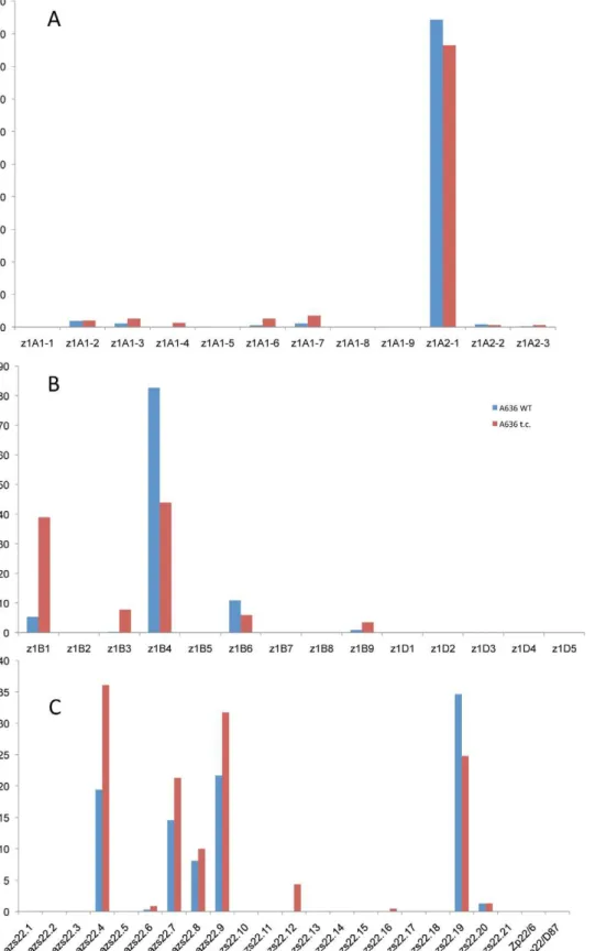 Figure 4. Tissue culture induces epigenetic resetting of the a -zeins genes expression in A636 inbred