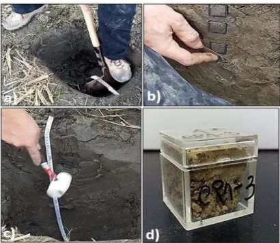 Figura  2.6  –  a)  Imagem  representativa  do  momento  de  escavação  do  perfil;  b)  Alisamento  da  parede  do  perfil;  c)  Distribuição dos cubos pelo perfil; d) Cubo com amostra de solo identificado