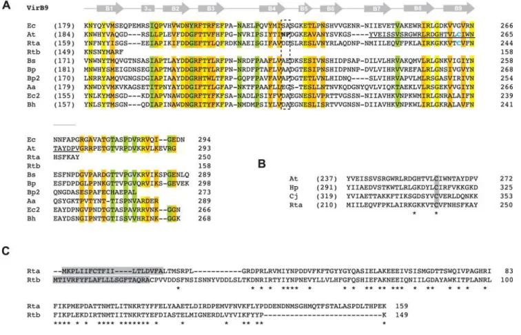 Figure 5. Comparative analysis of VirB9 and VirB9-like proteins with emphasis on two Rickettsia orthologs