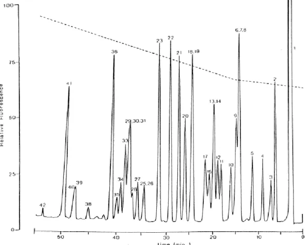 Figure  2.3.1  –  HPLC  of  dansylated  standards  separated  on  a  Spheri-5RP-18,  5  µm  reversed-phase  column