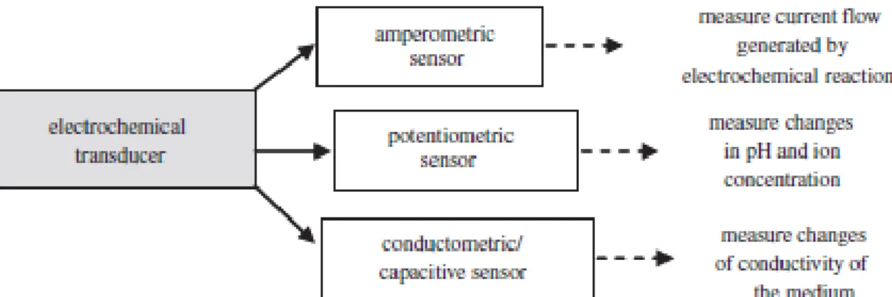 Figure 2.5.1 – Classification of diferente electrochemical sensors. Adapted from Huet et al., 2011