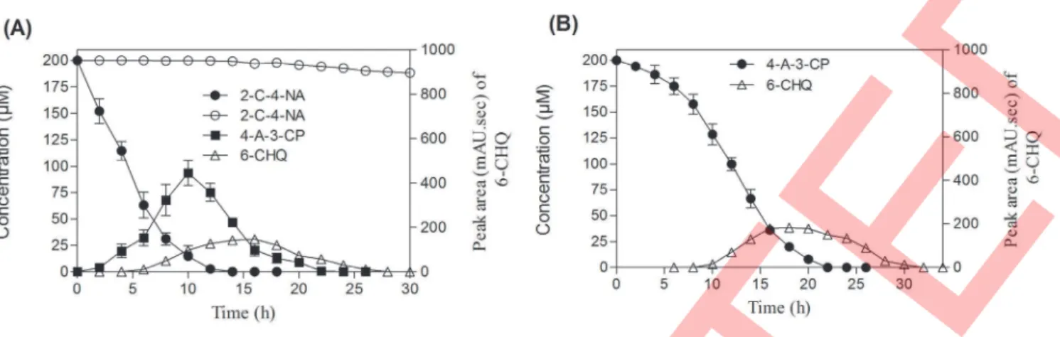 Figure 3. Representative HPLC and GC-MS chromtograms along with mass spectra of metabolites identified during the degradation of 2-C-4-NA by resting cells of Rhodococcus s 