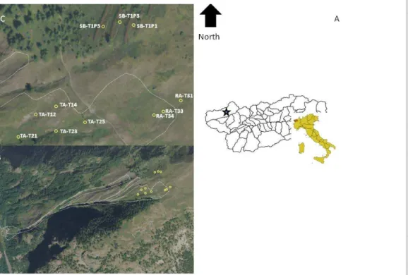 Fig. 1. Study area: (A) site location (star) within Italy and the Valle d’Aosta Region; (B) avalanche area and sampling points and (C) sampling points in detail.