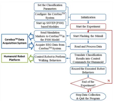 Fig 7. Procedure for the evaluation of the performance of the SSVEP and P300 models in the open- open-loop experiments for the control of humanoid robot behaviors.