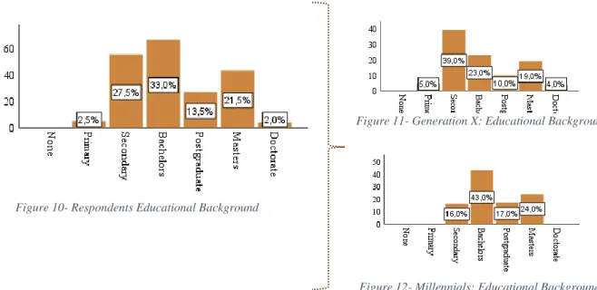 Figure 10- Respondents Educational Background