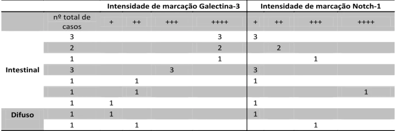 Tabela 1. Casos de carcinoma gástrico classificados segundo a intensidade de marcação pra os anticorpos anti- anti-gal-3 e anti-Notch-1