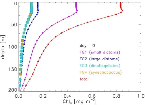 Fig. 3. The baseline initial depth profiles of Chla for the four functional groups, and their total.