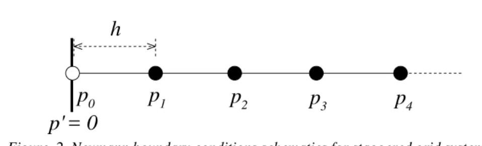 Figure  2. Neumann boundary conditions schematics for staggered grid system. 
