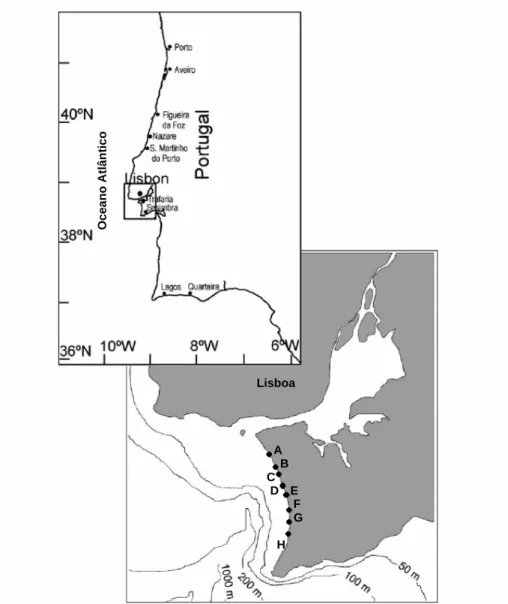 Figura 1. Área de estudo e locais de amostragem - Costa de Caparica (A - Nova Praia; 