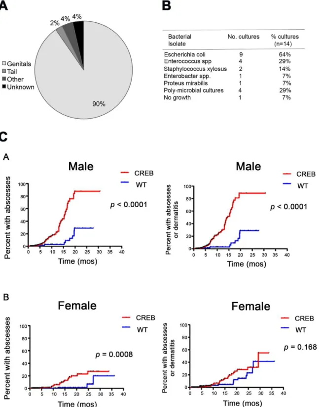 Figure 1. Comparison of abscess location and types of infection. (A) Numbers of mice that developed skin and soft-tissue abscesses were evaluated and the location of abscesses was recorded