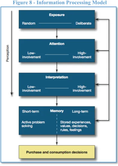 Figure 8 - Information Processing Model 
