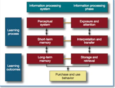 Figure 9 - Relation Between Information Processing, Learning and Memory 