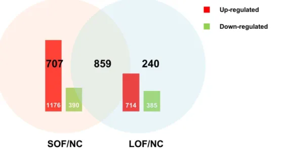 Figure 4. Changes in gene expression profiling among the different treatments. Up-(red) and down-regulated (green) unigenes were quantified and presented by histogram, comparisons of differentially expressed genes in SOF/NC and LOF/NC presented by Venn cha