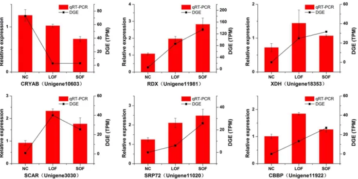 Figure S1 Library size on gene identify ratio. The left y- axis indicates the percentage of genes identified, and the right  y-axis indicates the total tag number