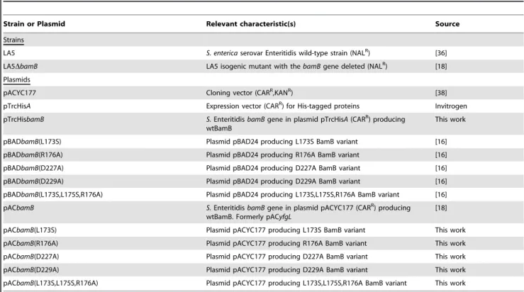 Table 2. Bacterial strains and plasmids used in this study.