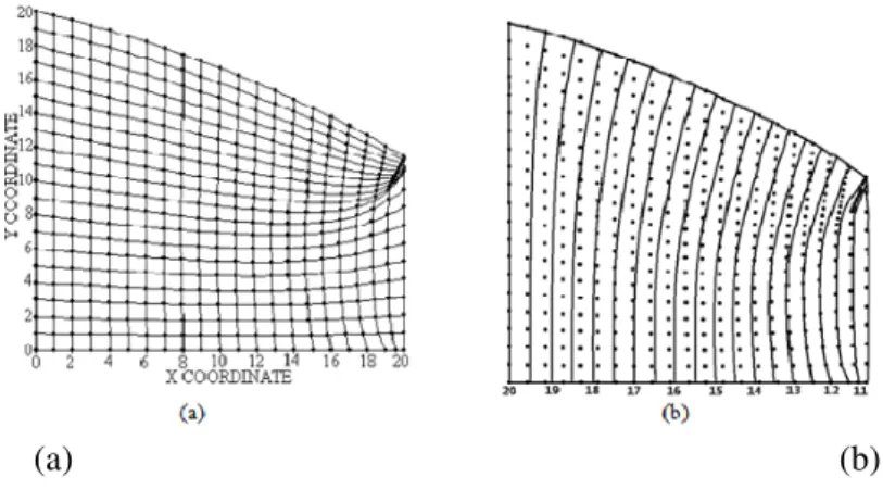 Figure 3. (a) Grid generated and (b) corresponding head distribution contour for time step 5 