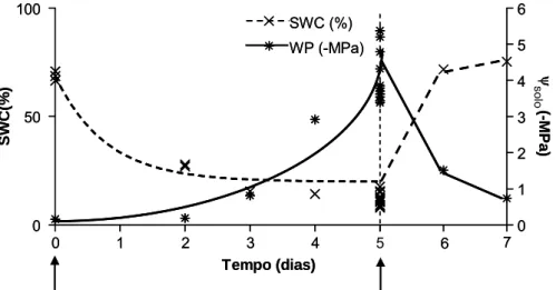 Figura 2. Evolução do SWC e do Ψ solo  ao longo do período de ensaios. Os primeiros 5 dias  correspondem ao período de indução de deficit hídrico e os últimos 2 dias ao período de recuperação