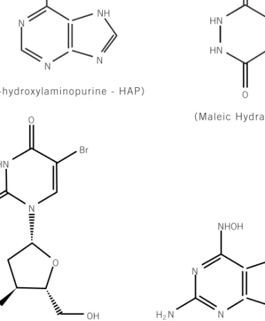 Figure 12.8  Molecular structures of several base analogues.
