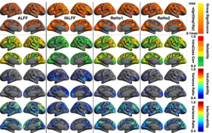 Fig 4. Vertex-wise statistical maps of four common rfMRI metrics at local scales. Maps of group-level statistical significance strength (the first row), test-retest reliability (the second row), intra-individual variability (the third row) and inter-indivi