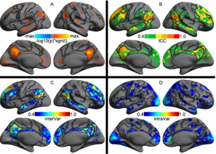 Fig 5. Vertex-wise statistical maps of the seed-based rfMRI connectivity. Maps of group-level statistical significance strength (A), test-retest reliability (B), inter-individual variability (C) and inter-individual variability (D) are rendered onto the fs