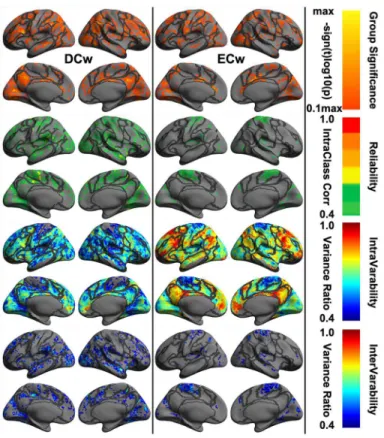 Fig 7. Vertex-wise statistical maps of two common rfMRI metrics at connectome scales. Maps of group-level statistical significance strength (the first row), test-retest reliability (the second row),  intra-individual variability (the third row) and inter-i