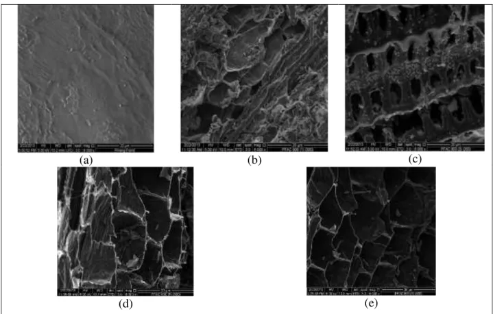 Figure 2. Scanning electron micrographs: (a) Pinang frond, (b) PFAC 1h , (c) PFAC 3h , (d)  PFAC 5h  and (e) PFAC 7h 
