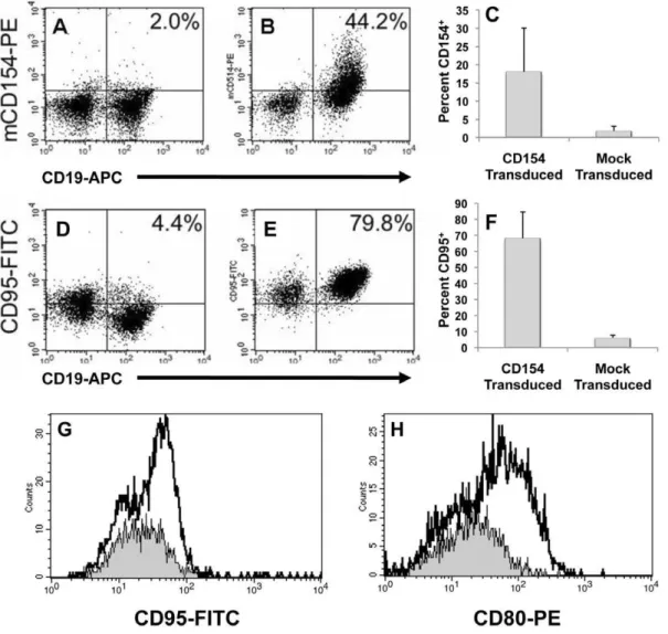 Table 1 demonstrates the expansion kinetics of nine different UCB T-cell populations. In aggregate,  lympho-cytes underwent a 5.7+/ 2 5.5 fold expansion over a