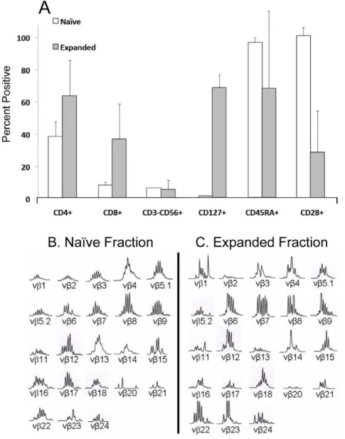 Figure 2. Characterization of UCB T-cells expanded by CLL-APC. A. UCB cell products expanded by CLL-APC consisted almost entirely of CD3 + cells with very few contaminating CD3 2 CD56 + cells