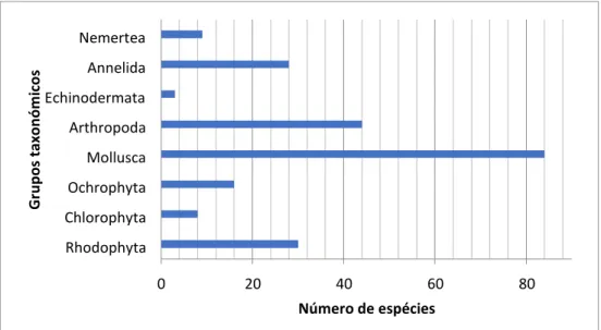Figura 1.3 Número de espécies dos principais filos representantes da amostra total. 