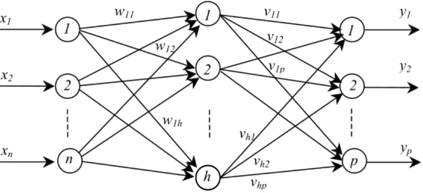 Fig 3:  A typical multilayer ANN. 