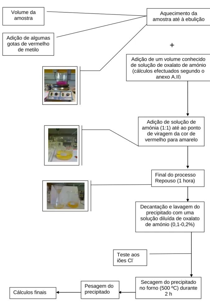 Fig. 12: Esquema do procedimento da análise gravimétrica realizada, para o doseamento do Ca