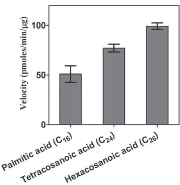 Figure 4. Determination of molecular assembly of FadD13. A. Determination of oligomerisation status of FadD13 by using M-PFC method