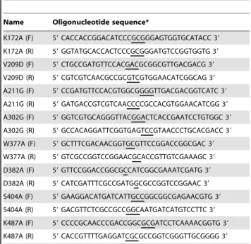 Figure 6. Comparison of the kinetic properties of FadD13 and its mutants. K m values for substrates and V max values were determined by performing FadD13 assays as described in the section on ‘‘Materials and Methods’’