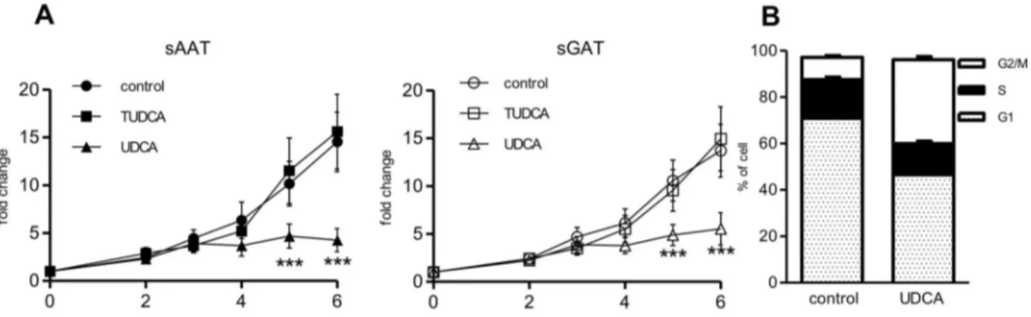 Figure  1.    Effect  of  BAs  on  proliferation  of  preadipocytes.    (A)  Preadipocytes  were  seeded  at  density  β000  cells/cm β   and cultivated for 6 days under control conditions or in the presence of β00 µM UDCA or 500 µM TUDCA