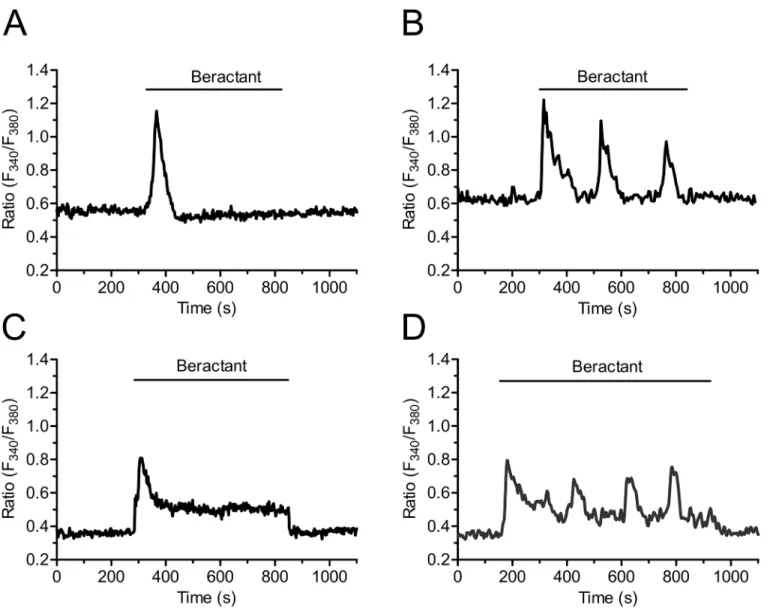 Fig 2A (right panel). However, when the peak fluorescence was normalized to the resting fluo- fluo-rescence (ΔR/Ri), the magnitude of the initial Ca 2+ spike was significantly (p < 0.05) higher in plateauing cells as compared to single-spiking and oscil