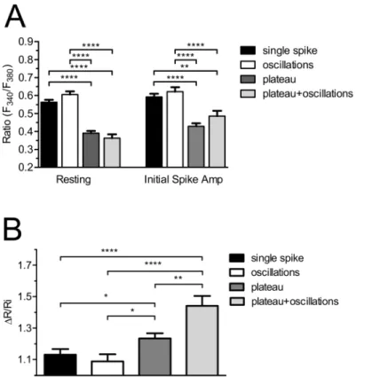 Fig 2. The pattern and initial spike-amplitude of the Ca 2+ response to beractant depend on resting [Ca 2+ ] i 