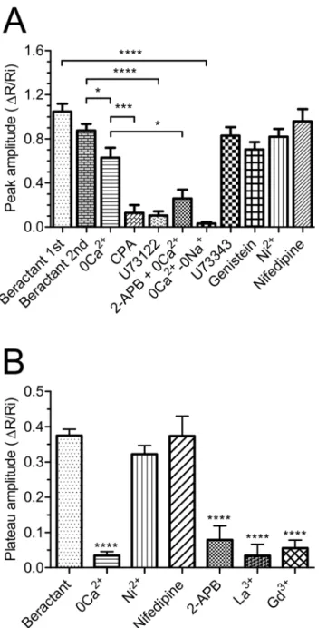 Fig 4. Effect of beractant on the initial Ca 2+ spike amplitude and plateau phase amplitude in NHLF