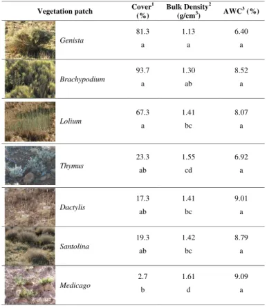 Table 2. Characteristics of each patch present in the slopes under study.