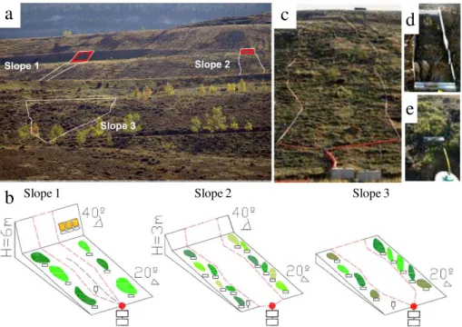 Fig. 1. (a) Location of the three experimental slopes at the El Moral spoil-bank (in red colour water contributing areas); (b) schematic representation of the experimental layout at slopes;
