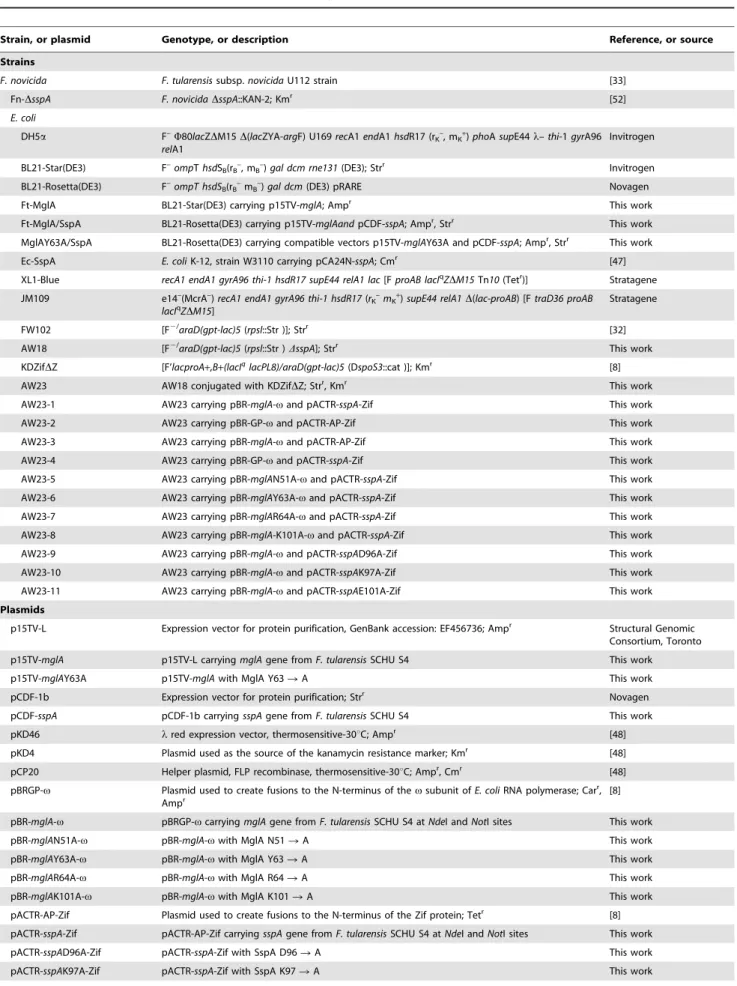 Table 2. Bacterial strains, and plasmids used in this study.