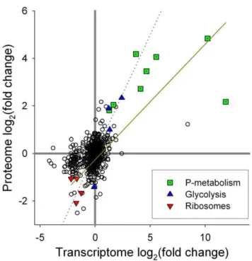 Figure 1. Phosphorus deficiency signals in the transcriptome and proteome. Global quantitative transcriptomic (A) and proteomic (B) analyses of T
