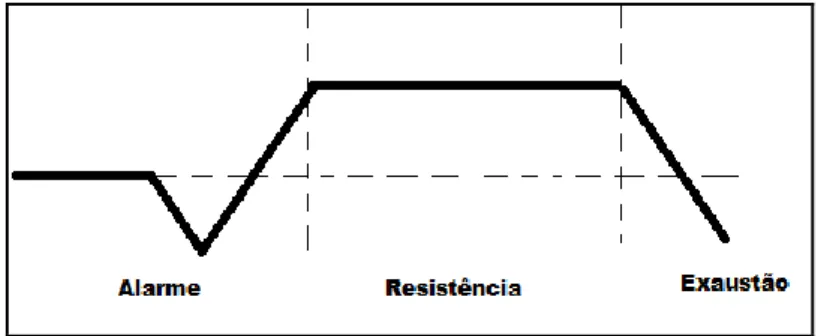 Figura 2- Fases do stress – (Fonte: adaptado de Seyle, 1960) 