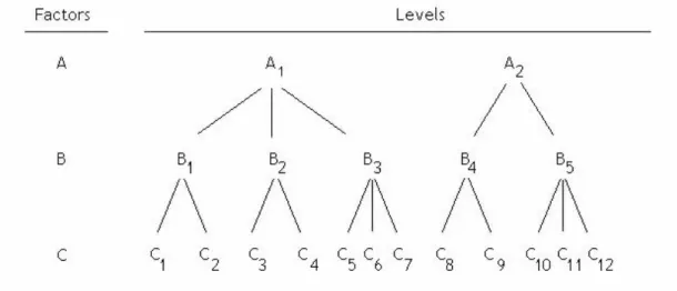 Figure 3.4: Factors unbalanced nesting 