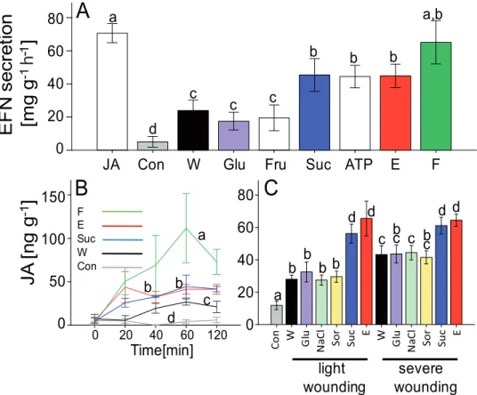 Figure 1. Damaged-self recognition in lima bean. (A) EFN secretion [mg soluble solids per gram leaf fresh mass and hour], (B) time course in endogenous jasmonic acid (JA) levels [ng per gram leaf fresh mass], (C) endogenous JA level 60 min after different 